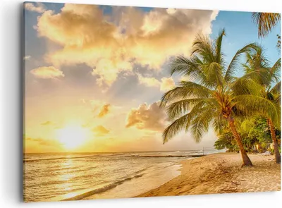 Produktbild von Bild auf Leinwand - Leinwandbild - Strand Meer Palme - 100x70cm - Wand Bild - Wanddeko - Wandbilder - Leinwanddruck - Bilder - Kunstdruck - Wanddekoration - Leinwand bilder - Wandkunst - AA100x70-3606