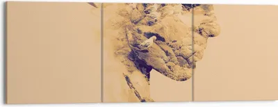 Produktbild von Bild auf Leinwand - Leinwandbild - 3 Teile - Frau Vögel Fotomontage - 150x50cm - Wand Bild - Wanddeko - Wandbilder - Leinwanddruck - Bilder - Wanddekoration - Leinwand bilder - CA150x50-4246