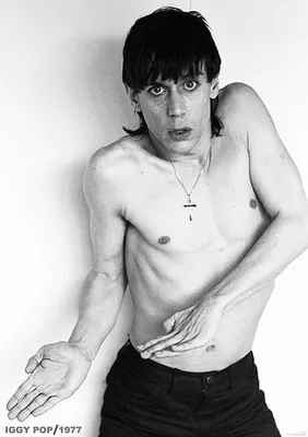 Productafbeelding van Iggy Pop - 28157 - Poster - 59x84 cm