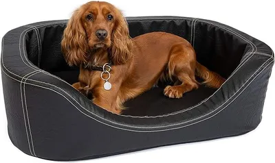 Imagen del producto de Cama ortopédica para perros, perros grandes - Cojín ovalado para perros - Cesta para perros, tamaño mediano - Cesta para perros con bordes elevados - Funda desmontable y lavable. 120 x 90 cm, color . Cama para perros, tamaño XXL