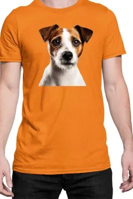 Immagine prodotto di Maglietta da uomo Dogs Breeds Russell Terrier Dog Breed 005, Man 2XL , Orange