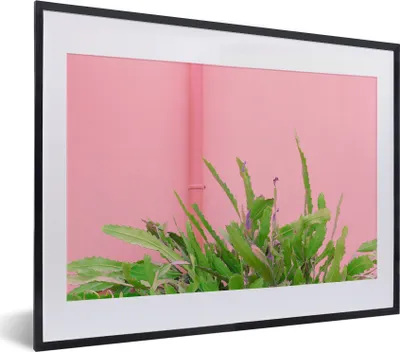 Produktbild von MuchoWow® Gerahmtes Poster Pflanze - Sommer - Rosa 40x30 cm - Poster mit Schwarzem Bilderrahmen Wandposter Rahmen Foto Bilder - Bilderrahmen - Poster im Rahmen
