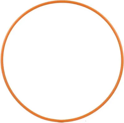 Produktbild von Hula Hoop Reifen für Kinder, Durchmesser 80cm in orange