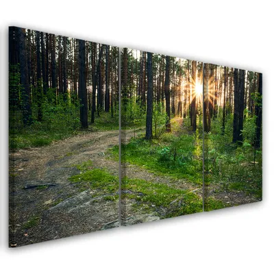 Produktbild von Triptychon auf leinwand grüne landschaften 60x40 cm Feeby grün wandbild bereit zum aufhängen