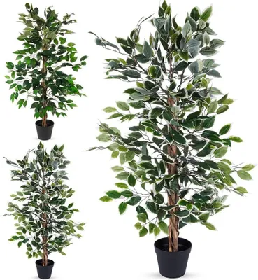 Produktbild von Kunstpflanze Benjamin 115Cm 317002630