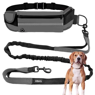 Produktbild von Solidchoice – Verstellbare, reflektierende Trainingsleine für Hunde