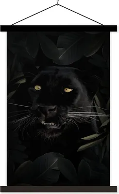 Produktbild von MuchoWow® Textilposter Panther - Dschungel - Pflanzen 60x90 cm mit schwarzem Rahmen - Poster Wohnzimmer