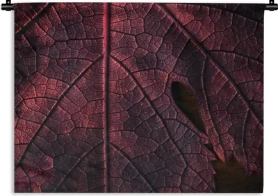 Produktbild von MuchoWow® Wandteppich Wandbehang Abstrakt - Rot - Blätter - Pflanze 150x112.50 cm Tapisserie Dekoration Wandtuch - Wanddecke - Wandteppiche