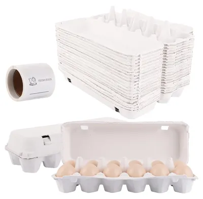 Image de Solidchoice - Boîtes en carton pour 12 œufs - Biodégradables