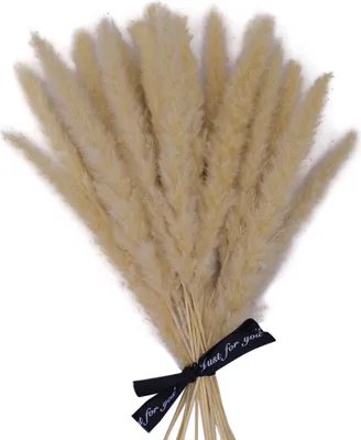 Produktbild von Pampasgras getrocknet - natürlich & besonders fluffig - Moderne Boho Deko für’s Wohnzimmer & Schlafzimmer - ewig haltbare Trockenblumen I Getrocknete Blumen I Trockenblumenstrauß (Beige B)