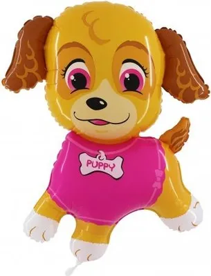 Immagine prodotto di Paw Patrol Sky - Palloncino in foil - 95 cm