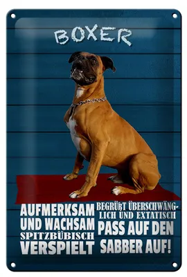 Produktbild von Blechschild Spruch 20x30cm Boxer Hund aufmerksam wachsam