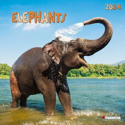 Produktbild von Wandkalender 2024 mit Elefantenmotiven aus der Serie Elephant Families 30x60cm