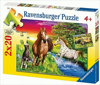 Produktbild von 08907 - Pferdewelt, 2 x 20 Teile Puzzle