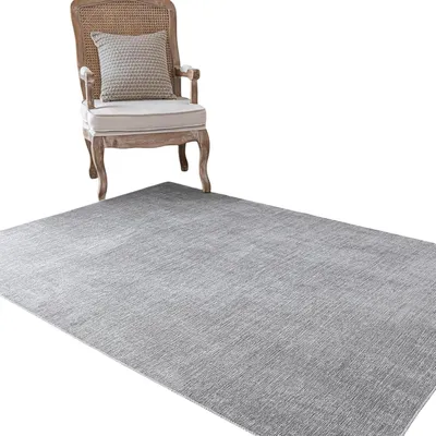Zdjęcie produktu dla Dywan Evitany z krótkim włosiem, 80 x 150 cm, antypoślizgowy, miękki, szary