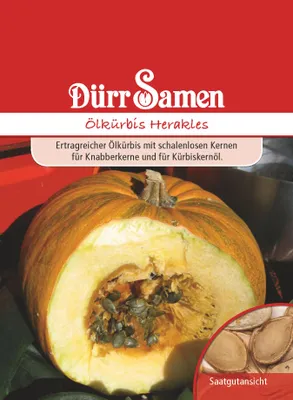 Produktbild von Ölkürbis Herakles | Ölkürbissamen von Dürr Samen