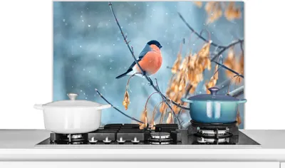 Produktbild von KitchenYeah®  Spritzschutz Küche - Küchenrückwand - Wandschutz für Herd und Spüle - Schnee - Vogel - Tier 90x60 - Alu-Dibond (Alternative zum Spritzschutz aus Glas) - Hitzebeständig - Herdspritzschutz