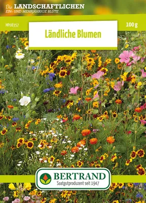Artikelbild 1 von 'Blumenwiese Artenreiche Feldblumenmischung (100 g)'