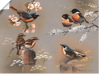 Produktbild von ARTland Poster Vogel Komposition Größe: 80x60 cm