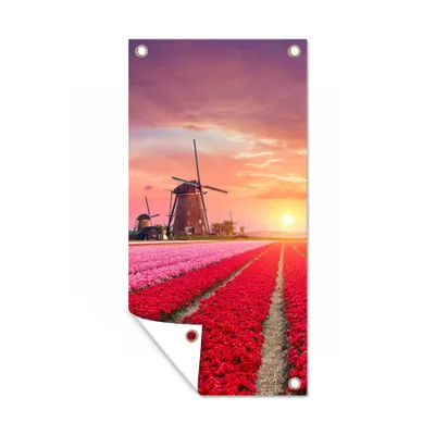 Obrázek produktu pro MuchoWow® Zahradní plakáty - Květiny - Větrný mlýn - Tulipány - Západ slunce - Růžová - 200x100 cm - Zahradní dekorace