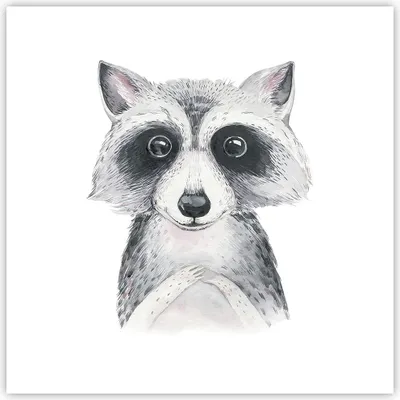 Produktbild von Poster - Poster ohne Rahmen - Waschbär Bild Kinder - 50x50 cm - Wand Bild - Wanddeko - Wandbilder - Kunstposter - Wandposter - Bilder - Kunstdruck - Wanddekoration - Wandbild - P2XAC50x50-4607