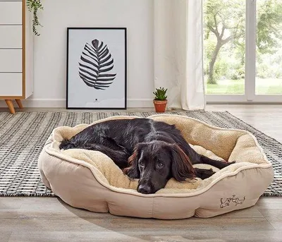 Immagine prodotto di Lettino domestico, lettino per cani e gatti, lettino doppio, materasso per cani e gatti, utilizzabile su entrambi i lati