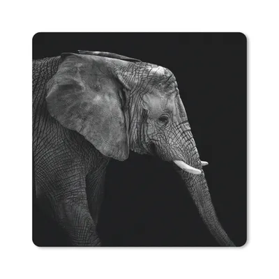 Produktbild von MuchoWow® Mauspad Mousepad Elefant - Schwarz und weiß - Porträt - Tiere 30x30 cm - Mousepads - Maus Mat - Pad - Mausunterlage - Gaming