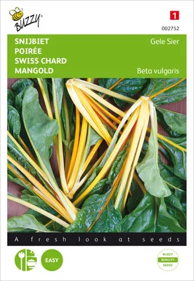 Produktbild von Mangold Gelbstielig | Mangoldsamen von Buzzy Seeds