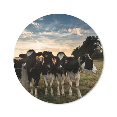 Produktbild von MuchoWow® Mauspad Mousepad Tiere - Kuh 30x30 cm - Mousepads - Maus Mat - Pad - Mausunterlage - Tischunterlage - Schreibtischmatten