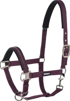 Produktbild von Halfter Pin Buckle 980 blackberry W