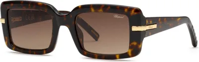 Produktbild von Chopard SCH413M Avana scura 53/22/140 Damen Sonnenbrillen