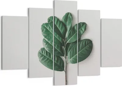 Produktbild von Bild auf Leinwand - Leinwandbild - 5 Teile - Blätter Pflanzen Botanik - 150x100cm - Wand Bild - Wanddeko - Wandbilder - Leinwanddruck - Bilder - Wanddekoration - Leinwand bilder - EA150x100-4956