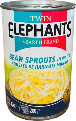 Produktbild von Twin Elephant Earth Eingelegte Mungosprossen 420 g