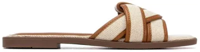 Produktbild von Flip-Flops XTI 145114-CAMEL für Damen