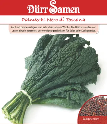 Produktbild von Palmkohl Nero di Toscana | Palmkohlsamen von Dürr Samen