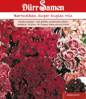 Produktbild von Bartnelke Super Duplex Mix | Bartnelkensamen von Dürr Samen