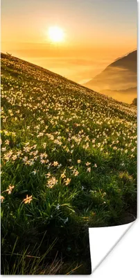 Produktbild von MuchoWow® Poster Blumen - Sonne - Berge 60x120 cm - Wandschmuck