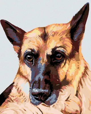 Image de Zuty - Peinture diamant - LOUP, 40 x 50 cm, sans cadre et sans tension de la toile