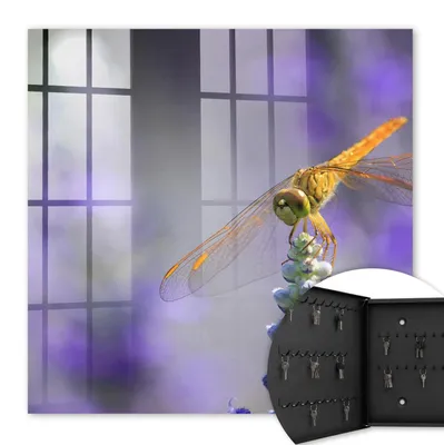 Produktbild von Metall Schlüsselkasten 30 x 30 cm - schwarzer Schlüsselschrank zur Wandmontage - wandhängende Schlüsselbox mit Tür - nach links öffnend - Schlüsselaufbewahrung für Flur - Büro - Arbeitszimmer - Werkstatt - Garage - Libelle auf einer Blume