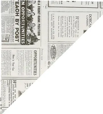 Obrázok produktu pre Papierové vrecká na hranolky TIMES 100 g 250 kusov.