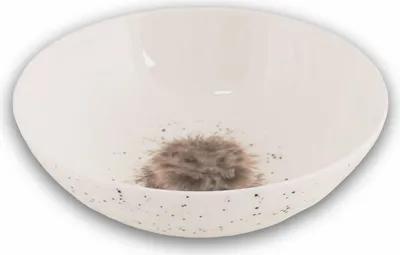 Produktbild von Wrendale Designs Porzellan Müsli Schale Igel flach