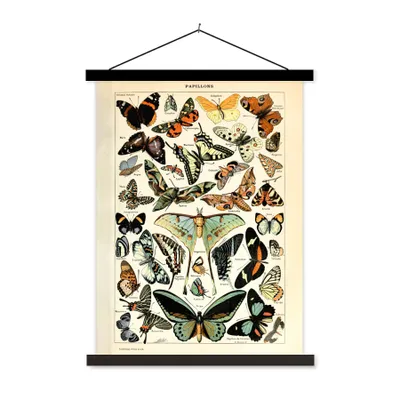 Produktbild von MuchoWow® Textilposter Adolphe Millot - Schmetterling - Tiere - Insekten - Vintage 40x53 cm mit schwarzem Rahmen - Abbildung