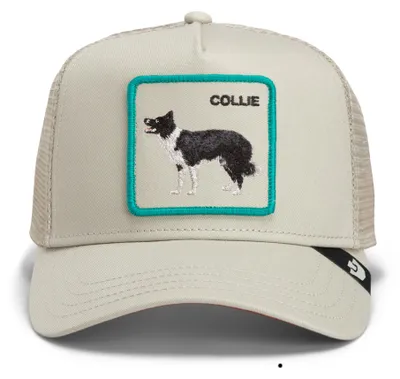 Zdjęcie produktu dla Czapka typu trucker Goorin Bros. OG, model Core Mesh, z daszkiem w kolorze Shadow, z motywem Border Collie (owczarek border collie)