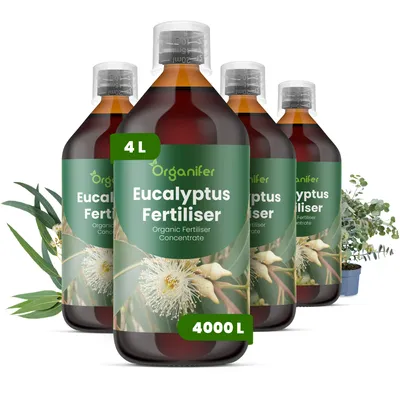 Obrázek produktu pro Eukalyptus Tekuté Hnojivo 4x1 L – 3-4-3 NPK – Pro Stromy – Pro Zdravé Listy & Silný Růst – Podporuje Kořeny & Stabilitu – Organifer
