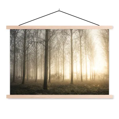Produktbild von MuchoWow® Textilposter Wald - Sonne - Nebel 60x40 cm mit holzfarbenen Rahmen - Bilder