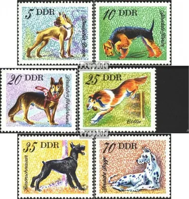 Produktbild von Briefmarken DDR 1976 Mi 2155-2160 (kompl.Ausgabe) postfrisch Hunderassen