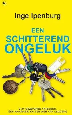 Image de Een schitterend ongeluk