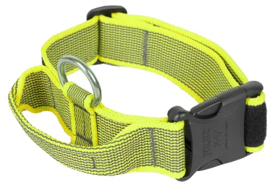 Zdjęcie produktu dla Seria Color & Gray - Obroża K9® z uchwytem - Ø40 mm, nylonowa, regulowana / z logo, neonowo-szara z opakowaniem