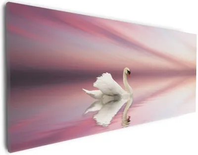 Produktbild von Wallario Premium Leinwandbild Weißer Schwan im rosafarbenen See in Größe 30 x 75 cm