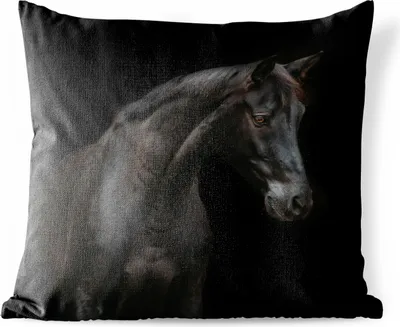 Produktbild von MuchoWow® Outdoor Kissen - Pferd - Tier - Schwarz - 50x50 cm - Wetterfest - Lounge Kissen - Komfortabel - Kissen mit Bild